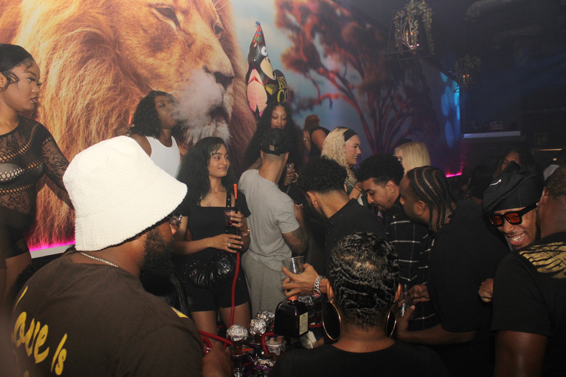 Ladies Luv Lions