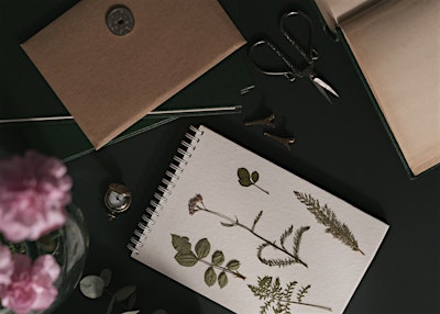 The Pause - A women-only afternoon to journal, write, craft or read