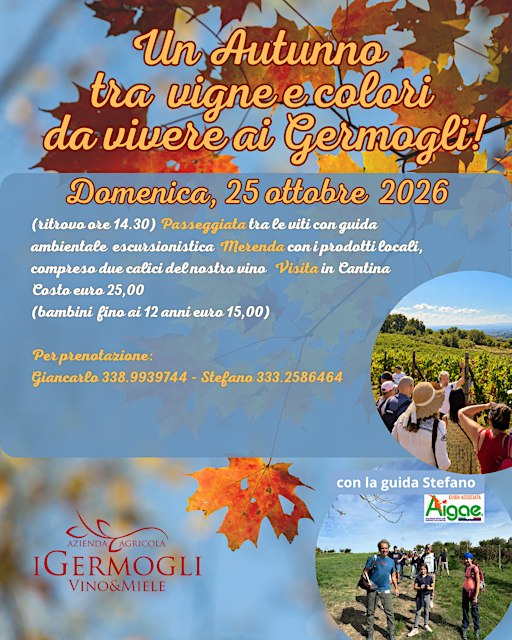 Autunno tra le vigne e  merenda nell'azienda agricola!