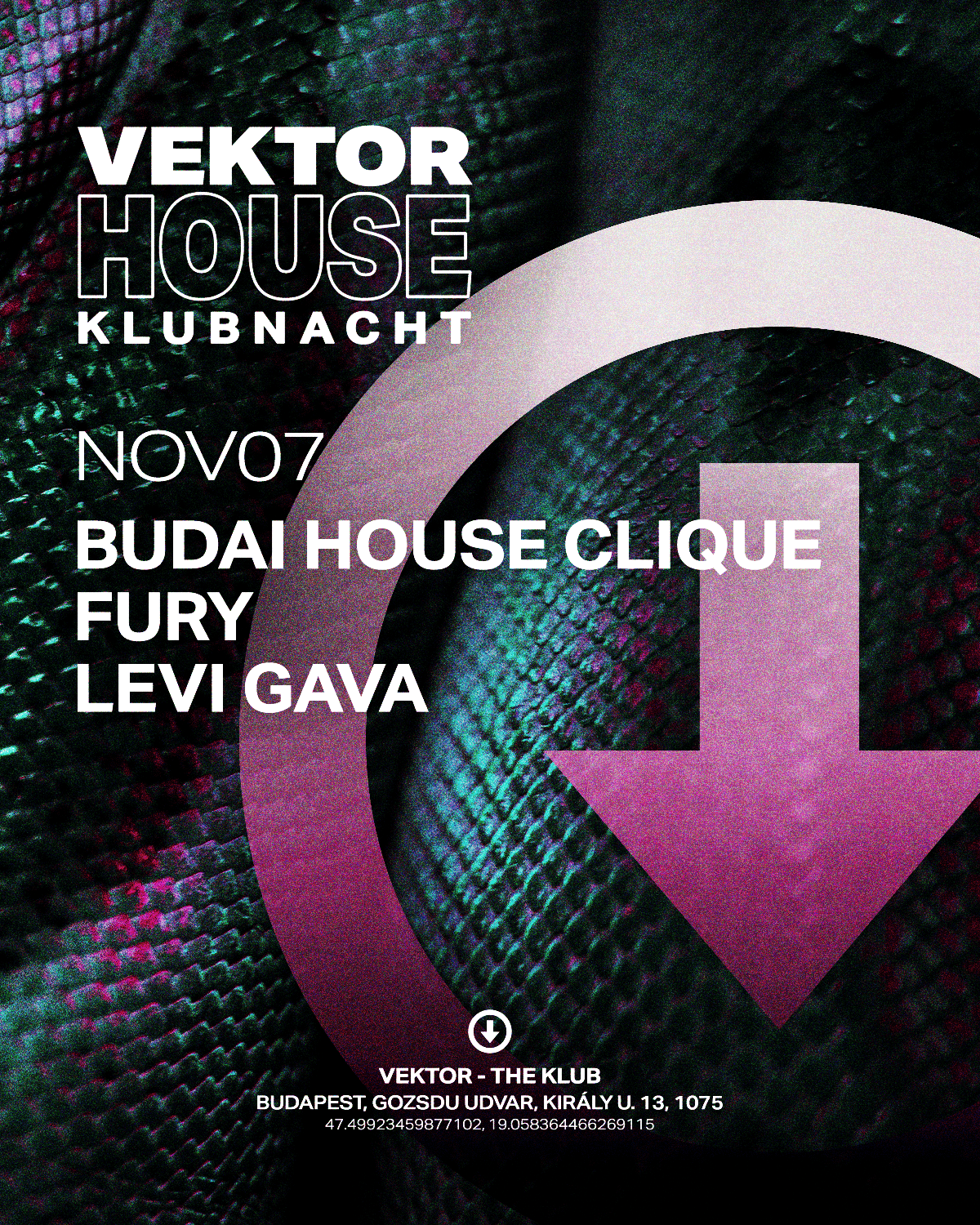 VEKTOR HOUSE KLUBNACHT - Budai House Clique, Fury, Levi Gava