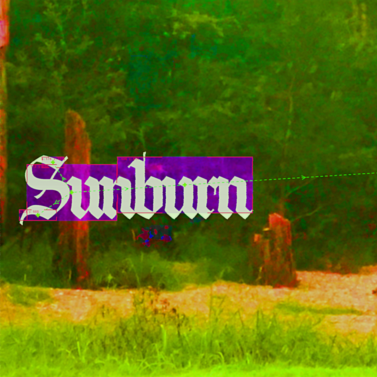 Sunburn 2026