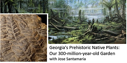 Georgia’s Prehistoric Native Plants: Our 300-million-year-old Garden