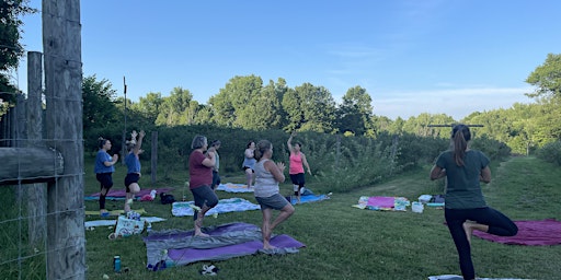 Farm YogAdventures: Berries + Yoga