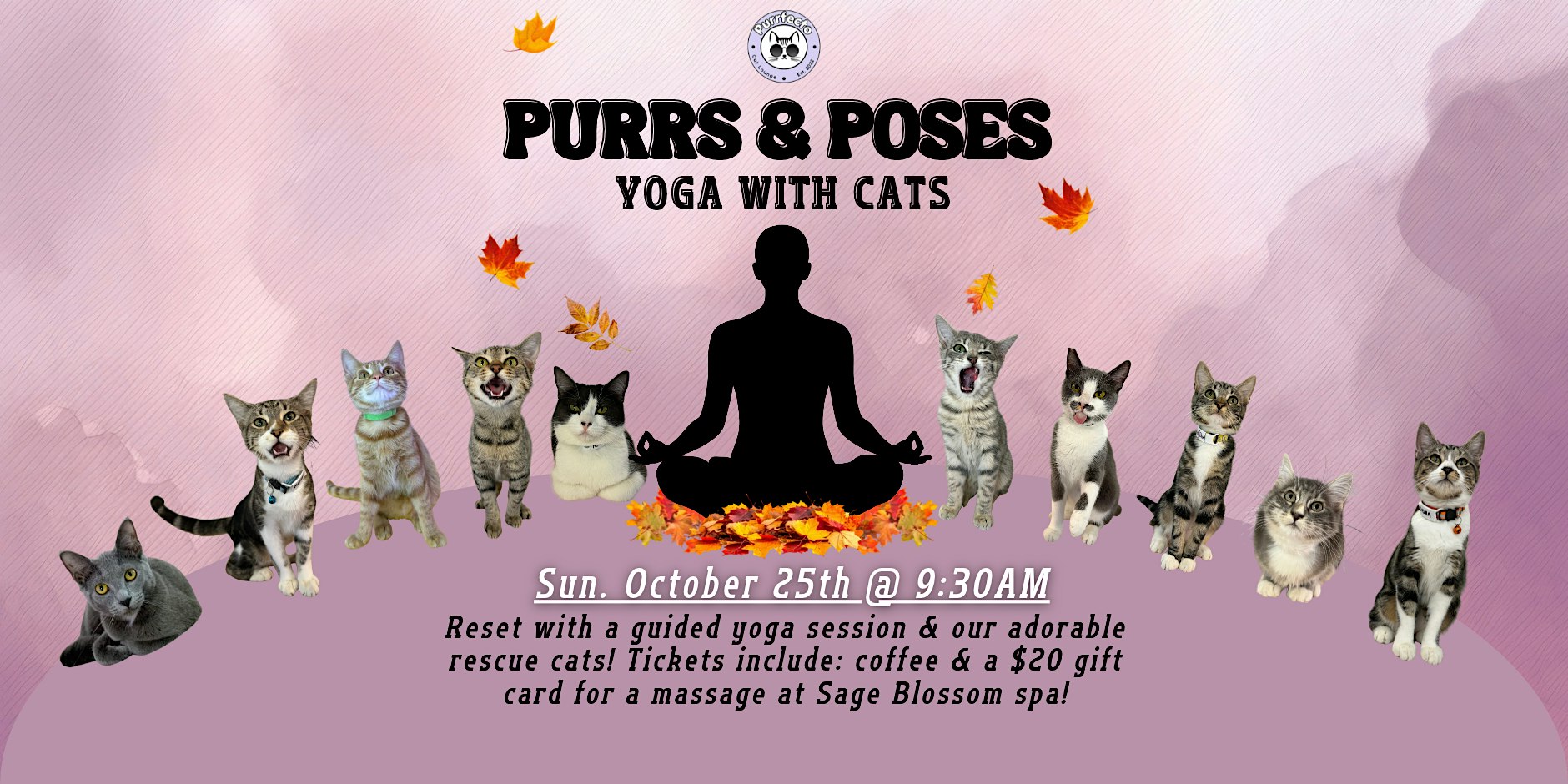 Yoga with Cats