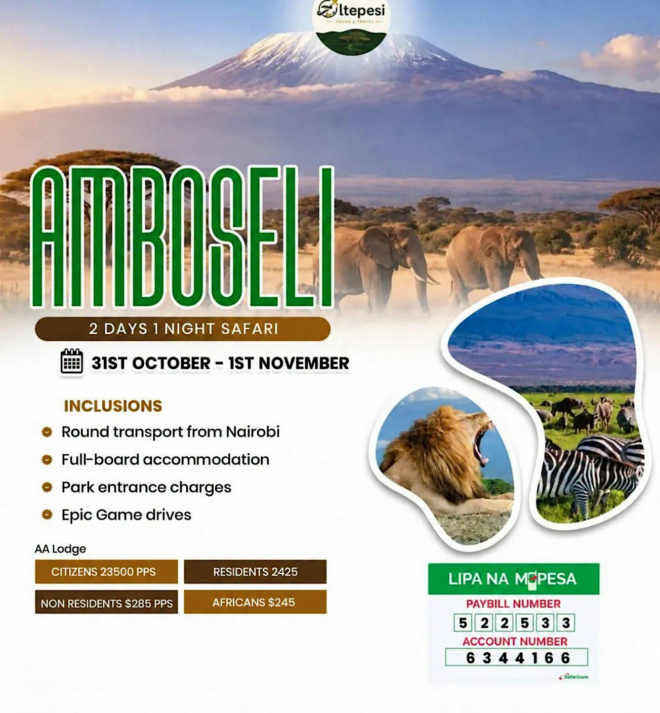 AMBOSELI CALLING AGAIN! YOUR WILDLIFE ADVENTURE AWAITS!