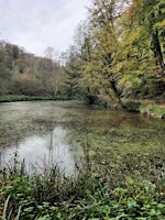 De ruisseaux en étangs : Les réserves naturelles des Enfants Noyés et du Vuylbeek.