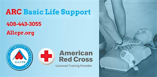 Red Cross Adult&Pediatric First Aid/CPR/AED class in Lawrenceville