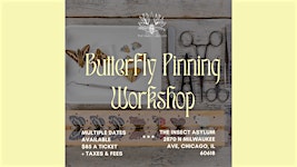 Butterfly Pinning Workshops