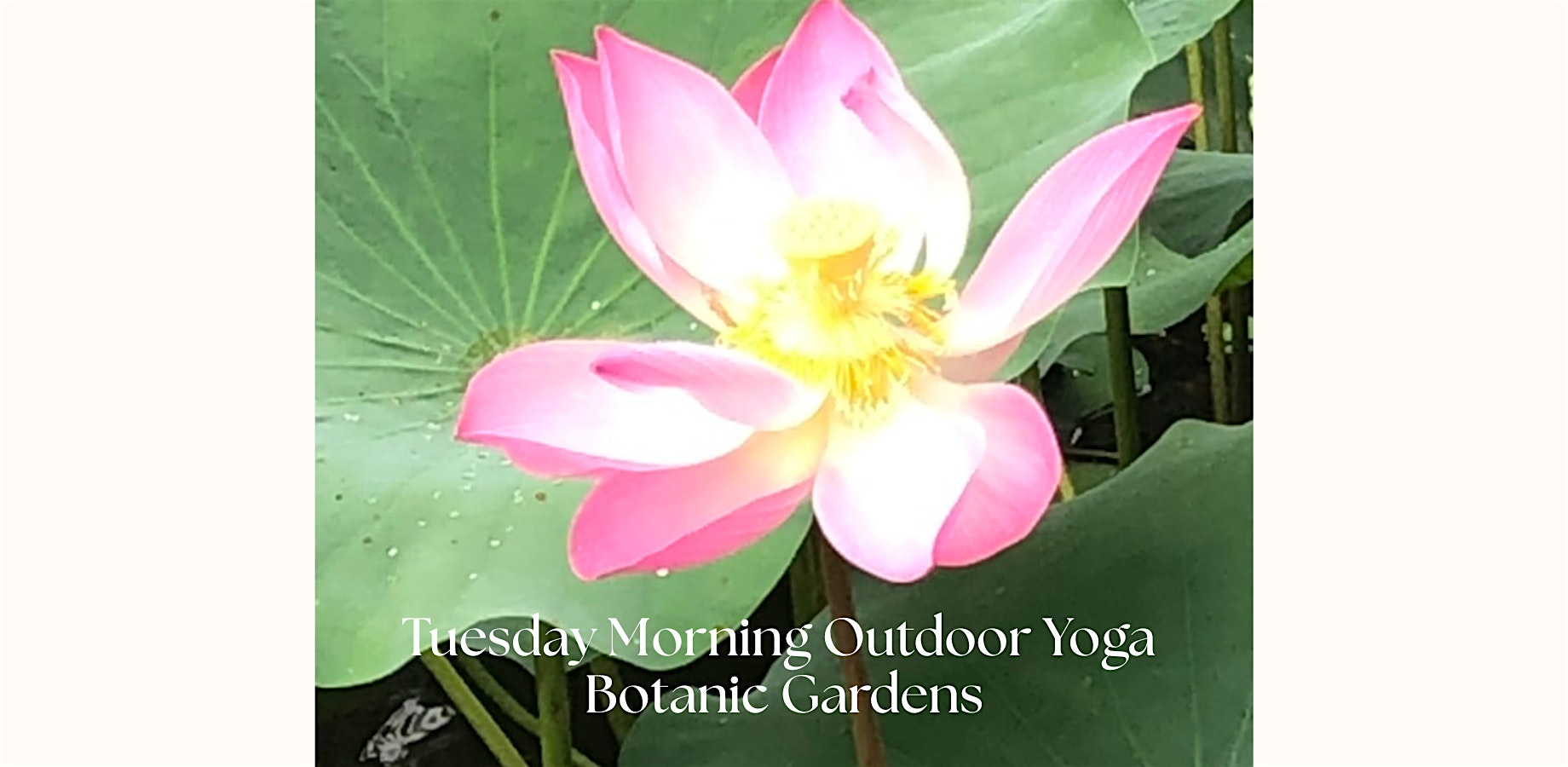 Tuesday Morning Outdoor Yoga (Beginners)@Botanic Gardens