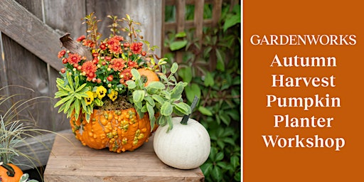 Autumn Harvest Pumpkin Planter Workshop at GARDENWORKS Burnaby-Lougheed