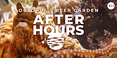 After Hours: Octopus’s Beer Garden