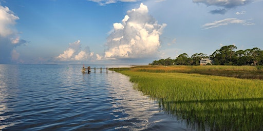 Apalachicola Estuary Exploration