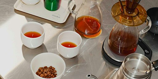 fermentation flight: curated specialty coffee tasting