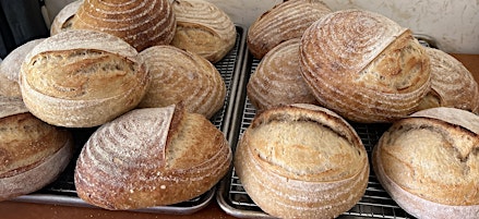 Sourdough Bread Class for Bell Tower Brewing Co.