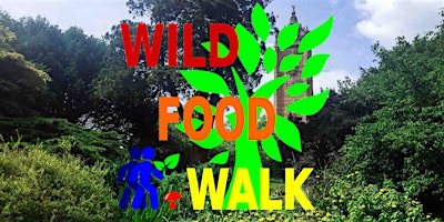 September Brandon Hill Park (Bristol) Wild Food Foraging/ Foragers Walk.