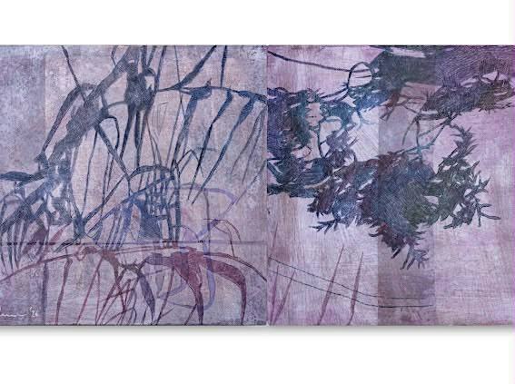 The Hidden Landscape by the Mexican artist Lorena Camarena Osorno