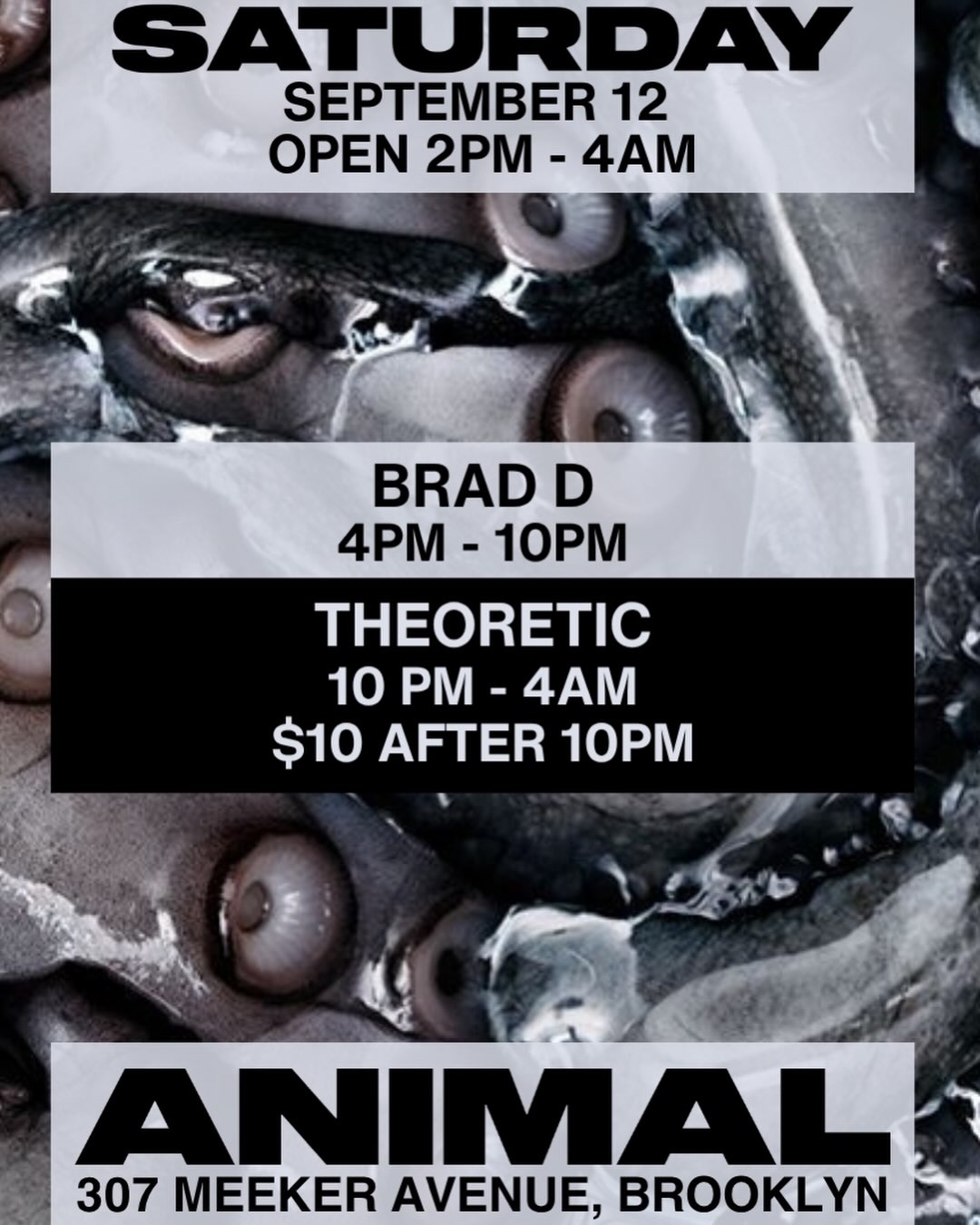 ANIMAL Saturday with Brad D, Theoretic