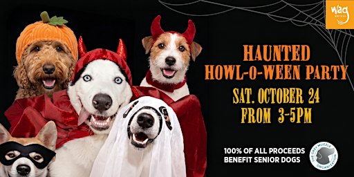 Haunted Howl-o-ween Party for Dogs at Wag Hotels San Francisco