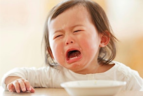 The Terrible Two : Understanding and Supporting Your Child with Care