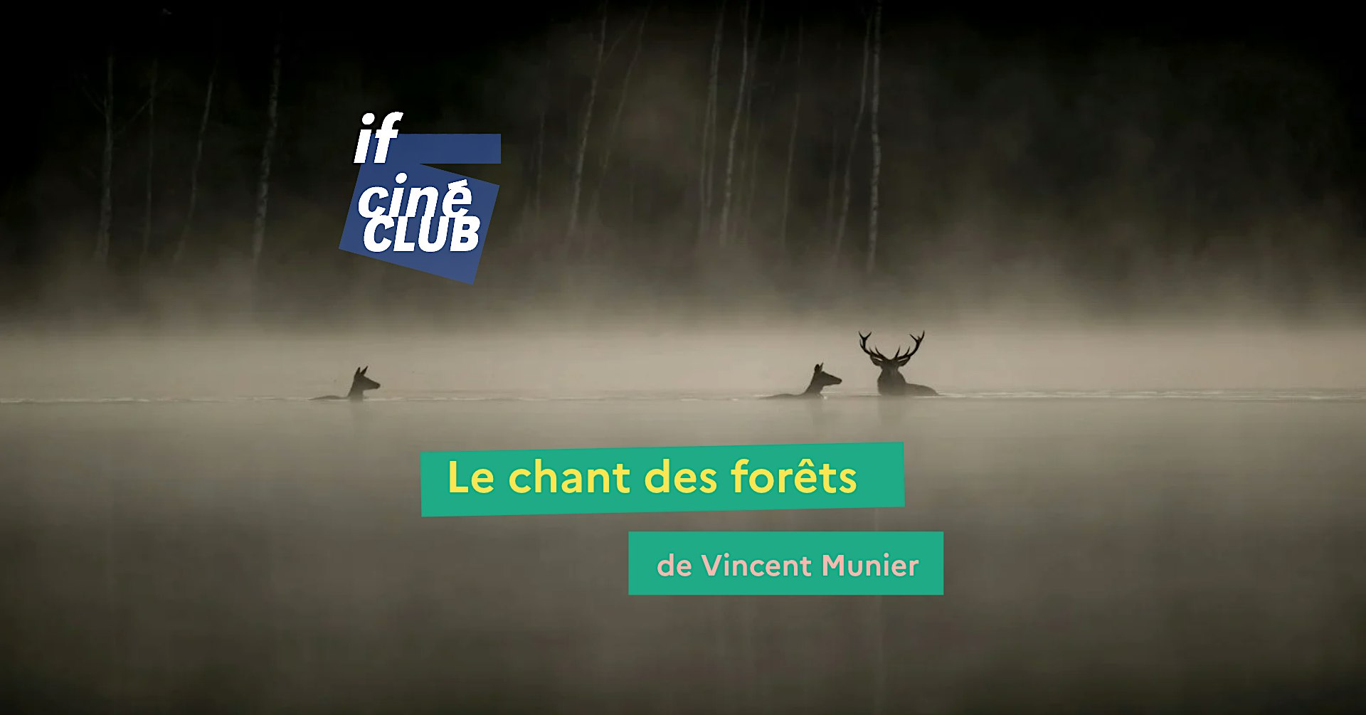 Ciné-club | Le chant des forêts