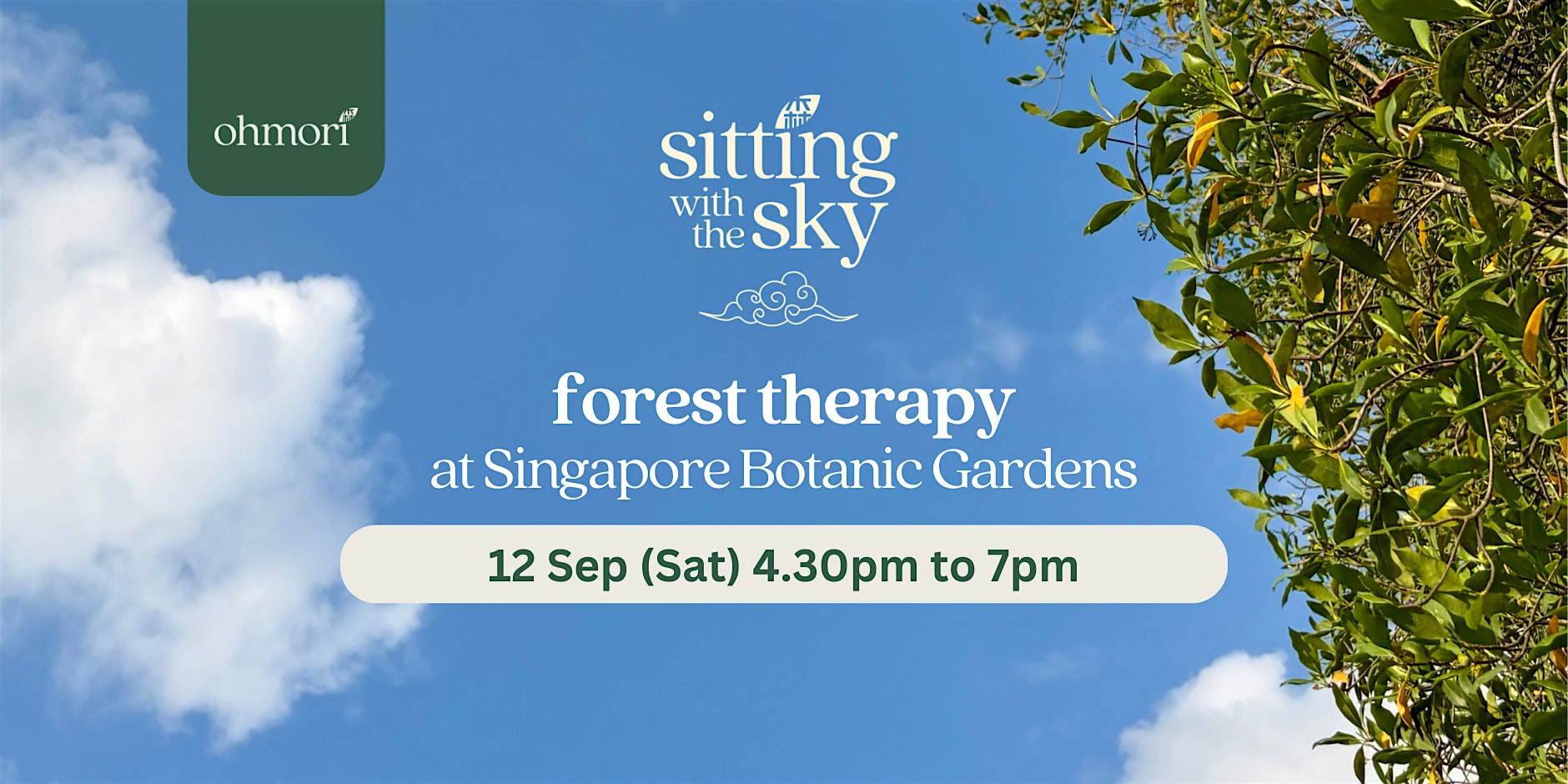 Forest Therapy & Bathing: Sitting with the Sky (Saturday 12 September)