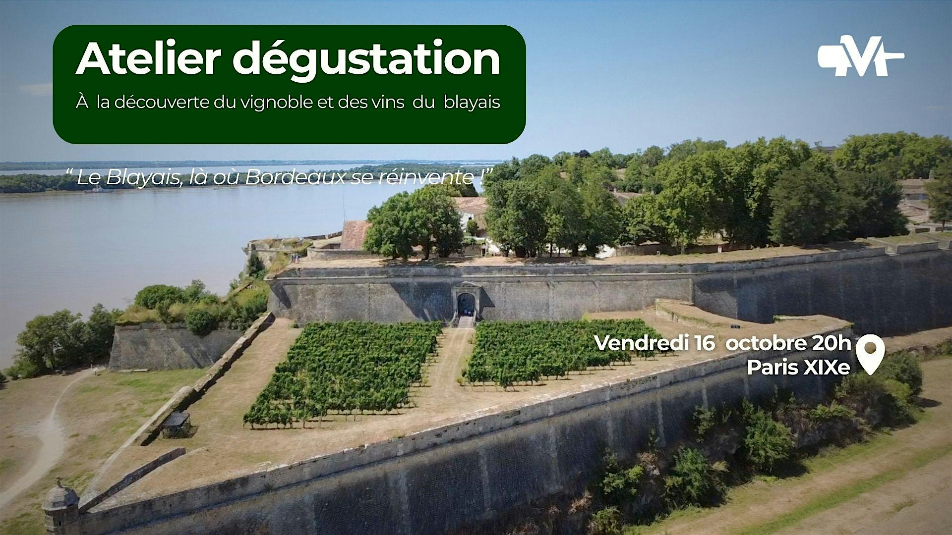 Le vignoble et des vins  du  blayais