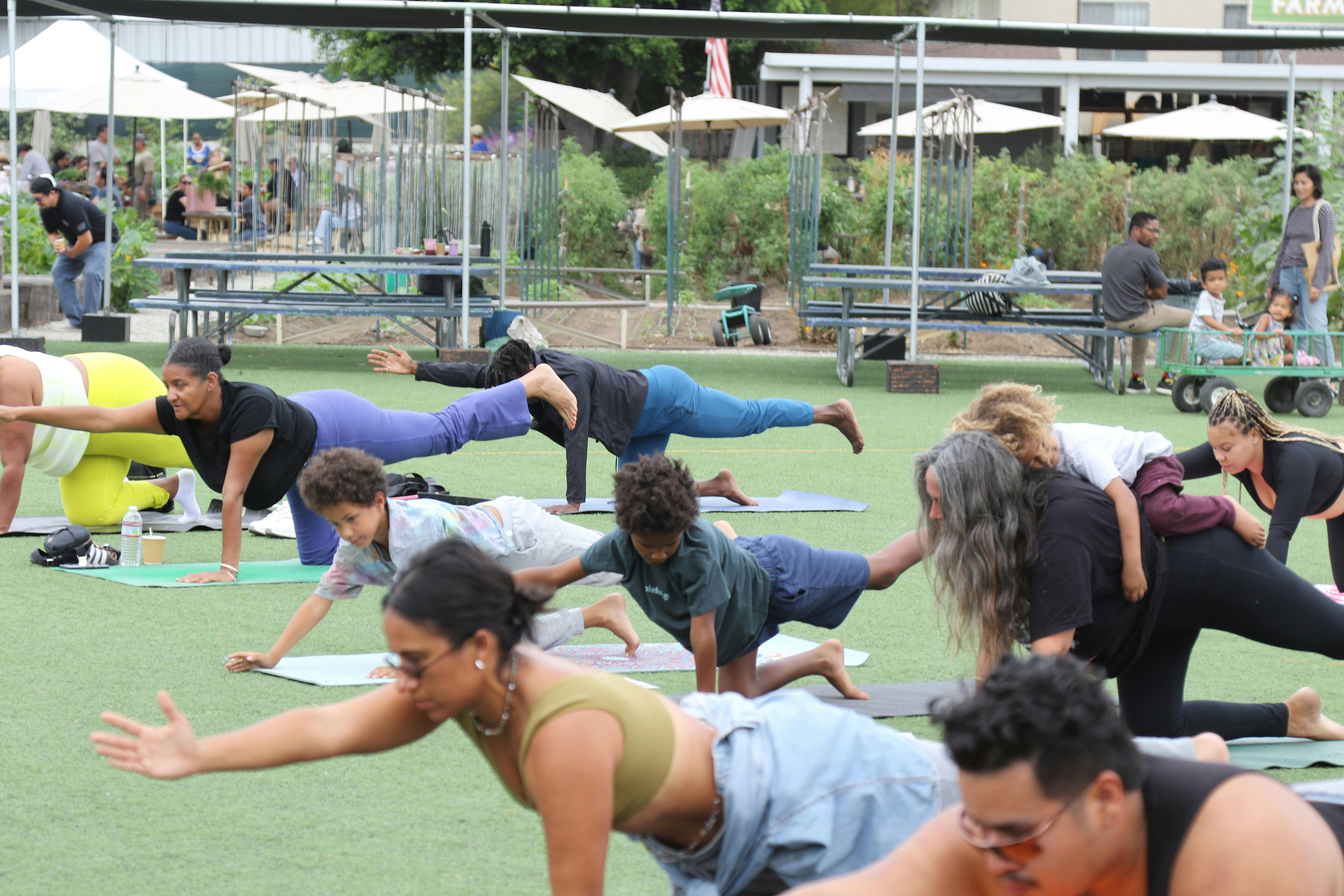 GUC Wellness Workshop @ Alma Backyard Farms
