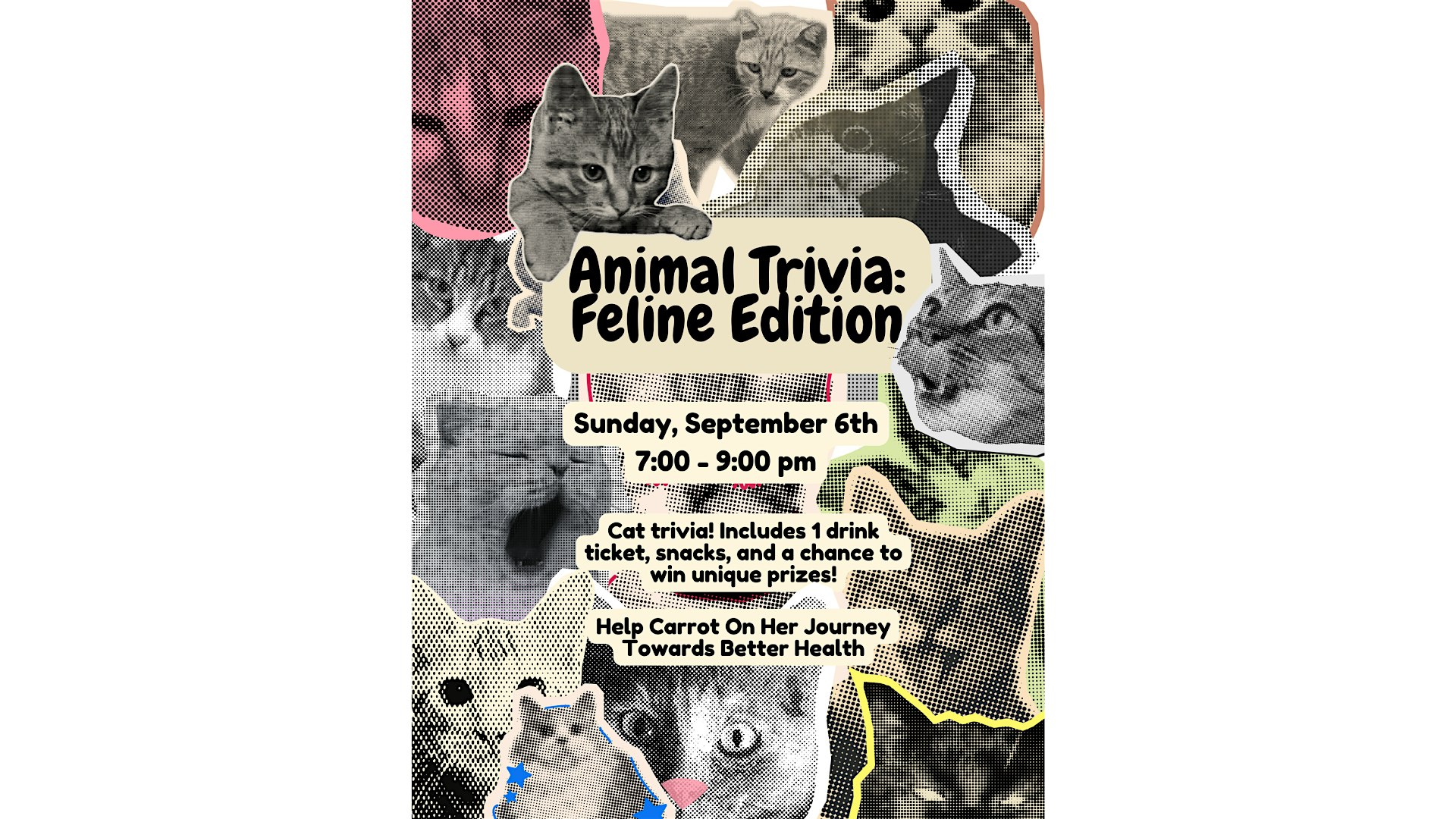 Animal Trivia Night: Feline Edition!