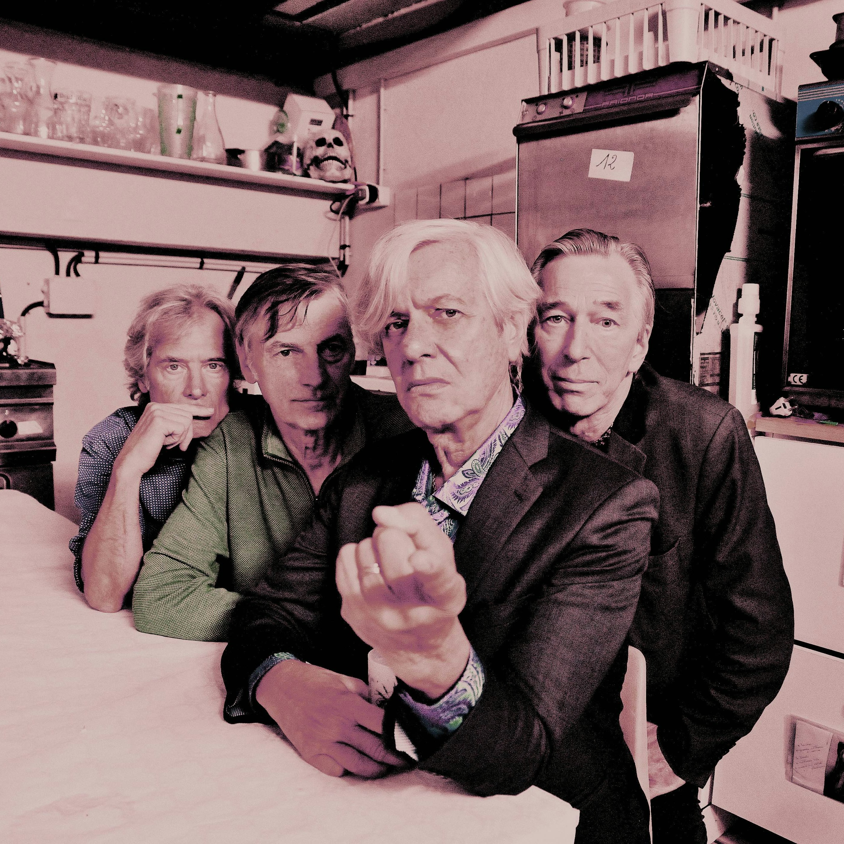 THE FLESHTONES