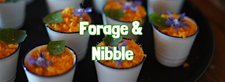 FORAGE & NIBBLE in Little Bollington / Dunham Massey (Cheshire)