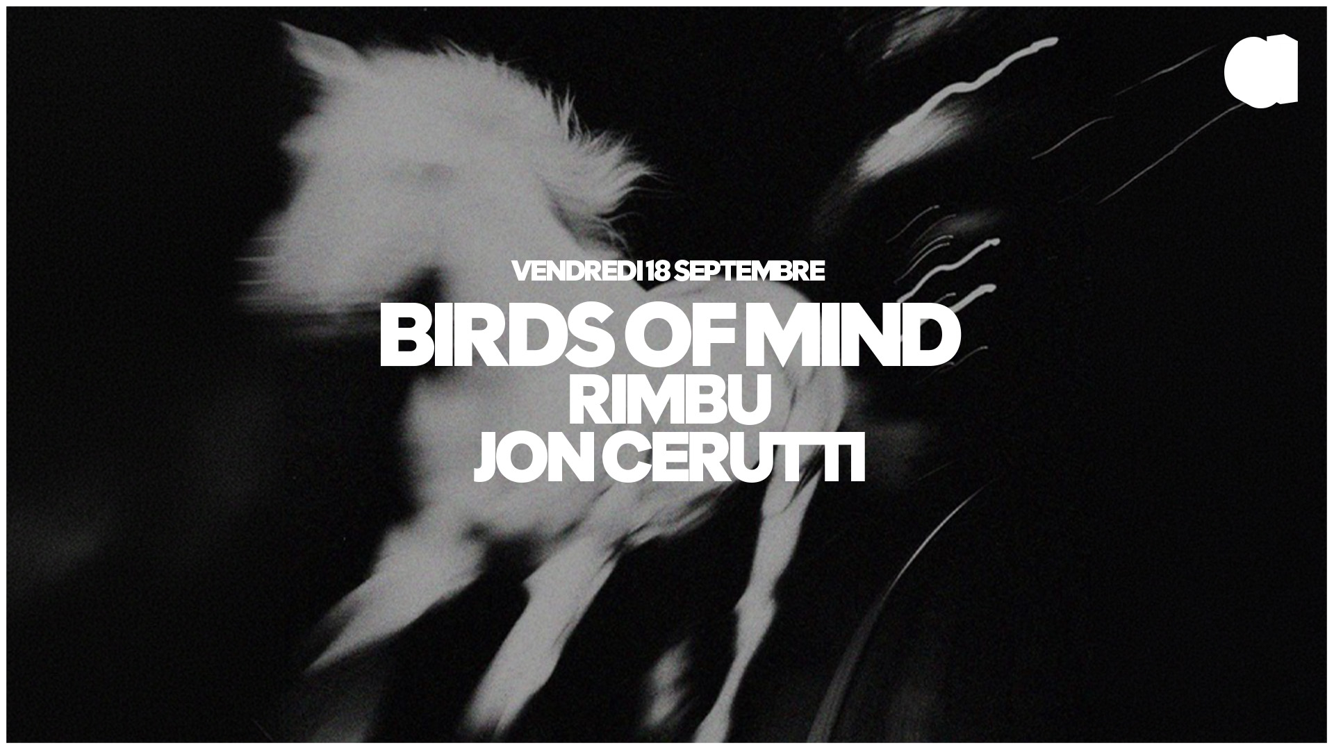 Birds of Mind · RIMBU · JON CERUTT