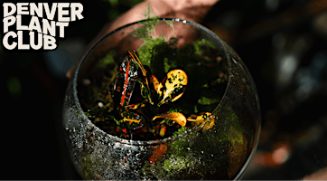 Terrarium Workshop with Denver Plant Club (9/5/26)