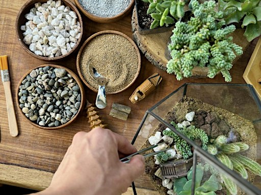 Mini-Ecosystem Terrarium Making Workshop