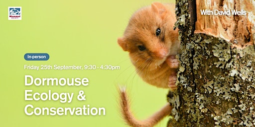 Dormouse Ecology & Conservation - In-person