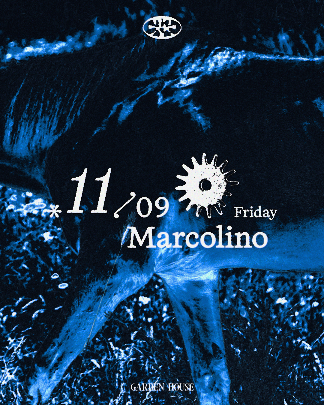 Garden House presents Marcolino