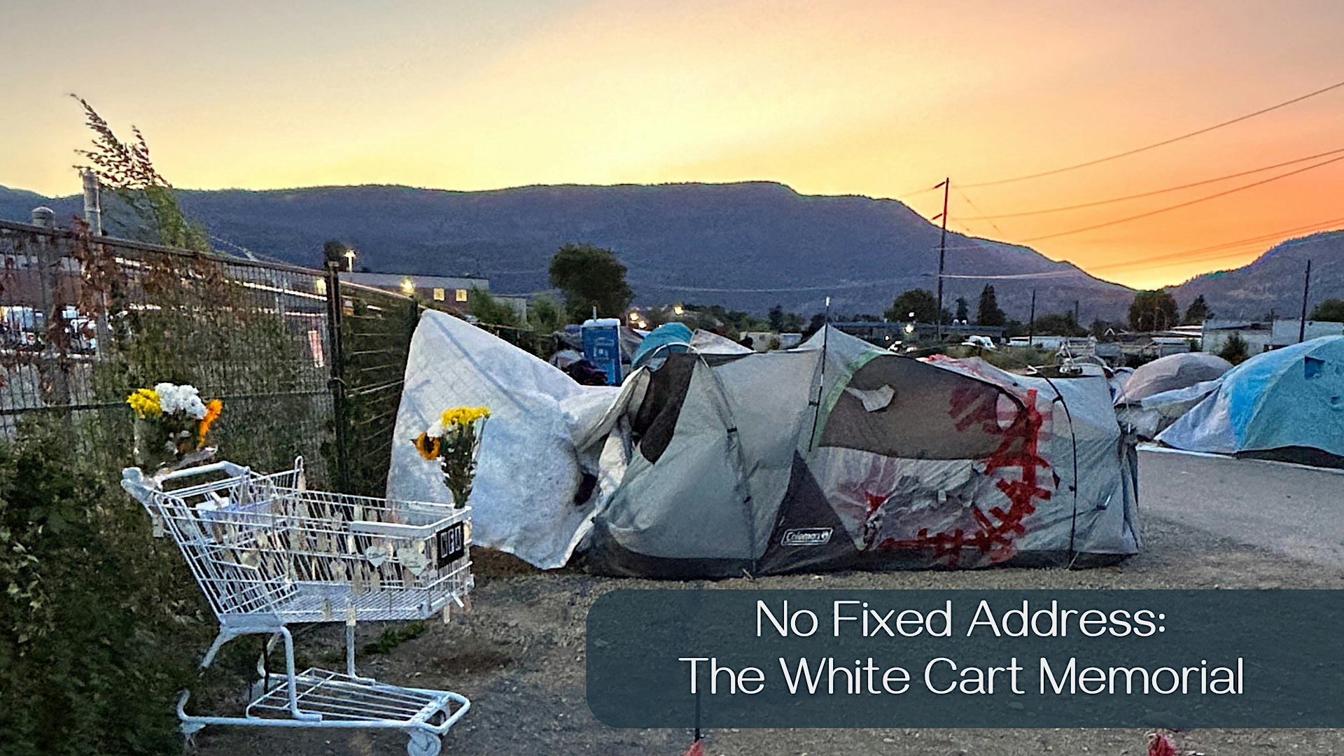 No Fixed Address: The White Cart Memorial : documentaire + discussion