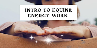 Intro to Equine Energy Work