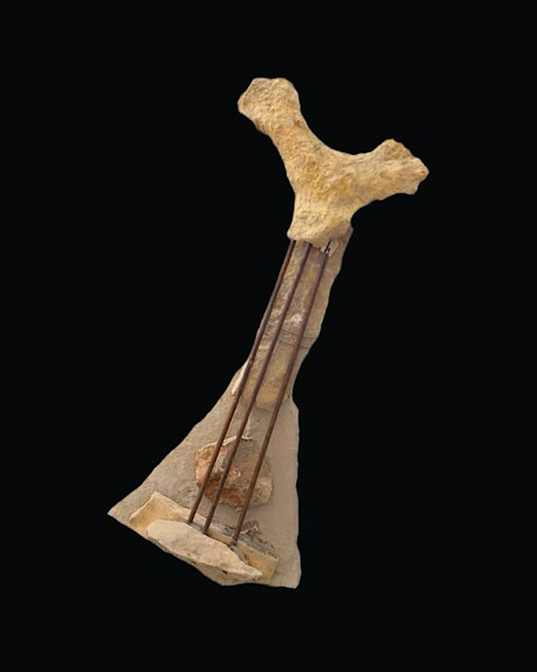 TOUR DI ESPLORAZIONE SONORA