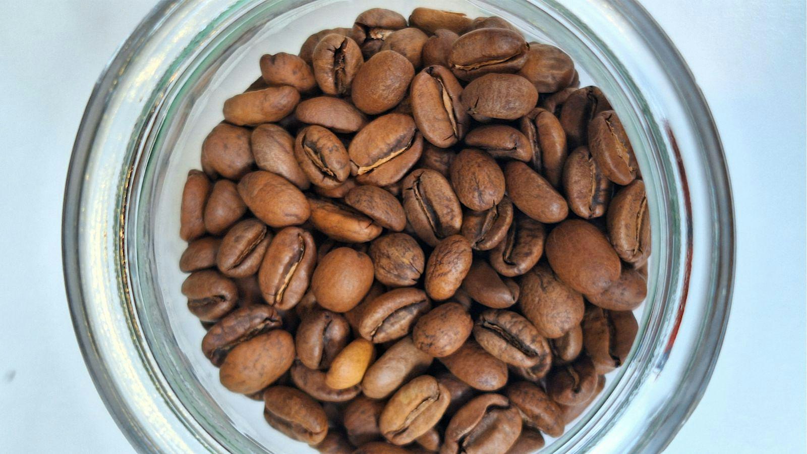 CUPPING SESSION — EDICIÓN VENEZUELA