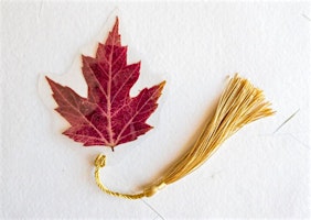 Atelier marque-pages en feuilles naturelles / Workshop: bladwijzers
