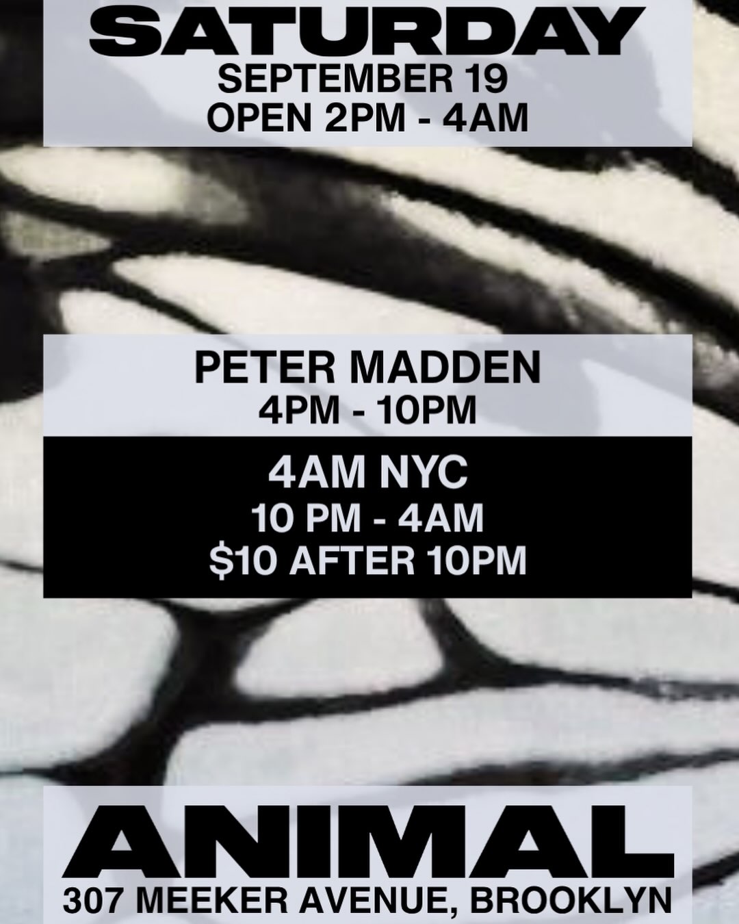 ANIMAL Saturday with Peter Madden, 4AM NYC