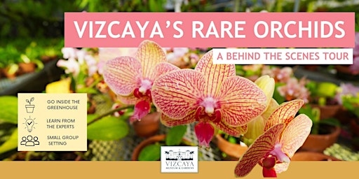 Vizcaya's Rare Orchids: A Behind the Scenes Guided Tour