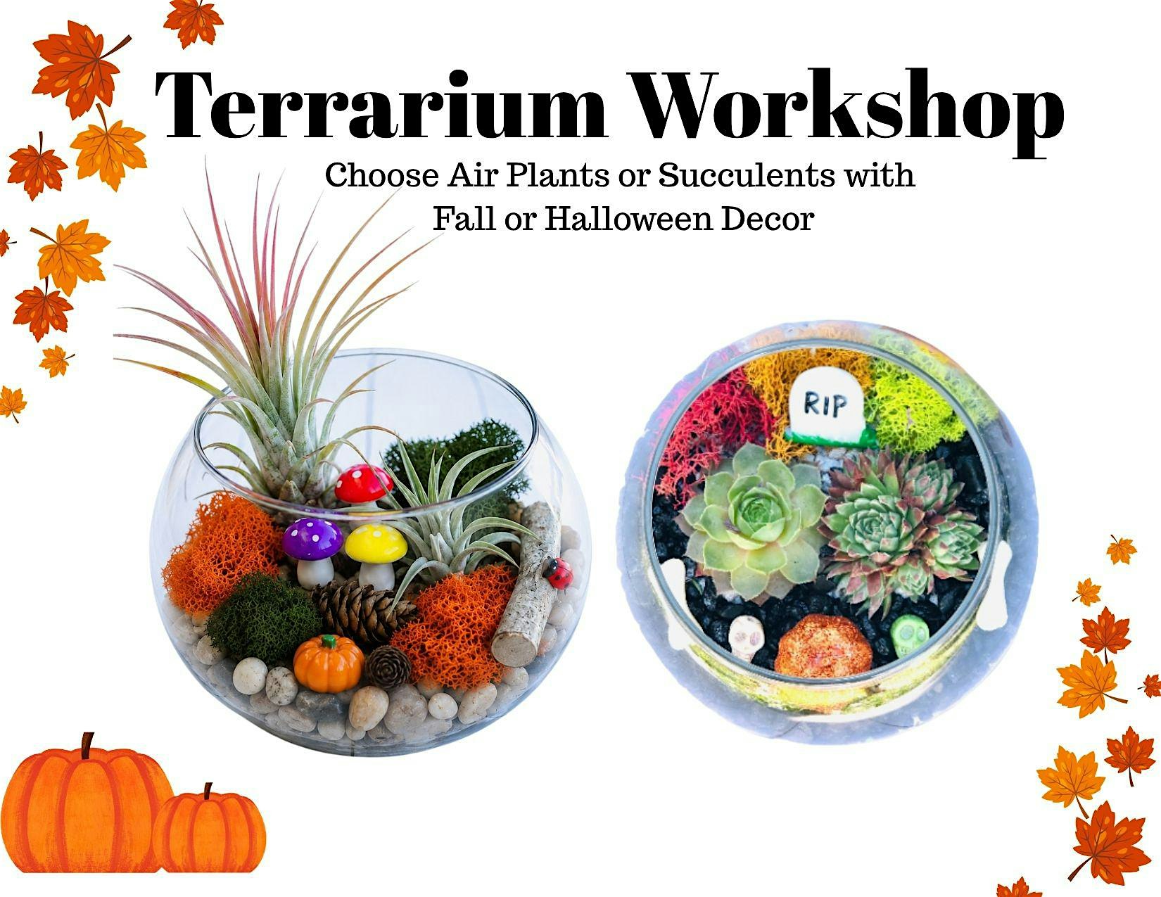 Terrarium Workshop
