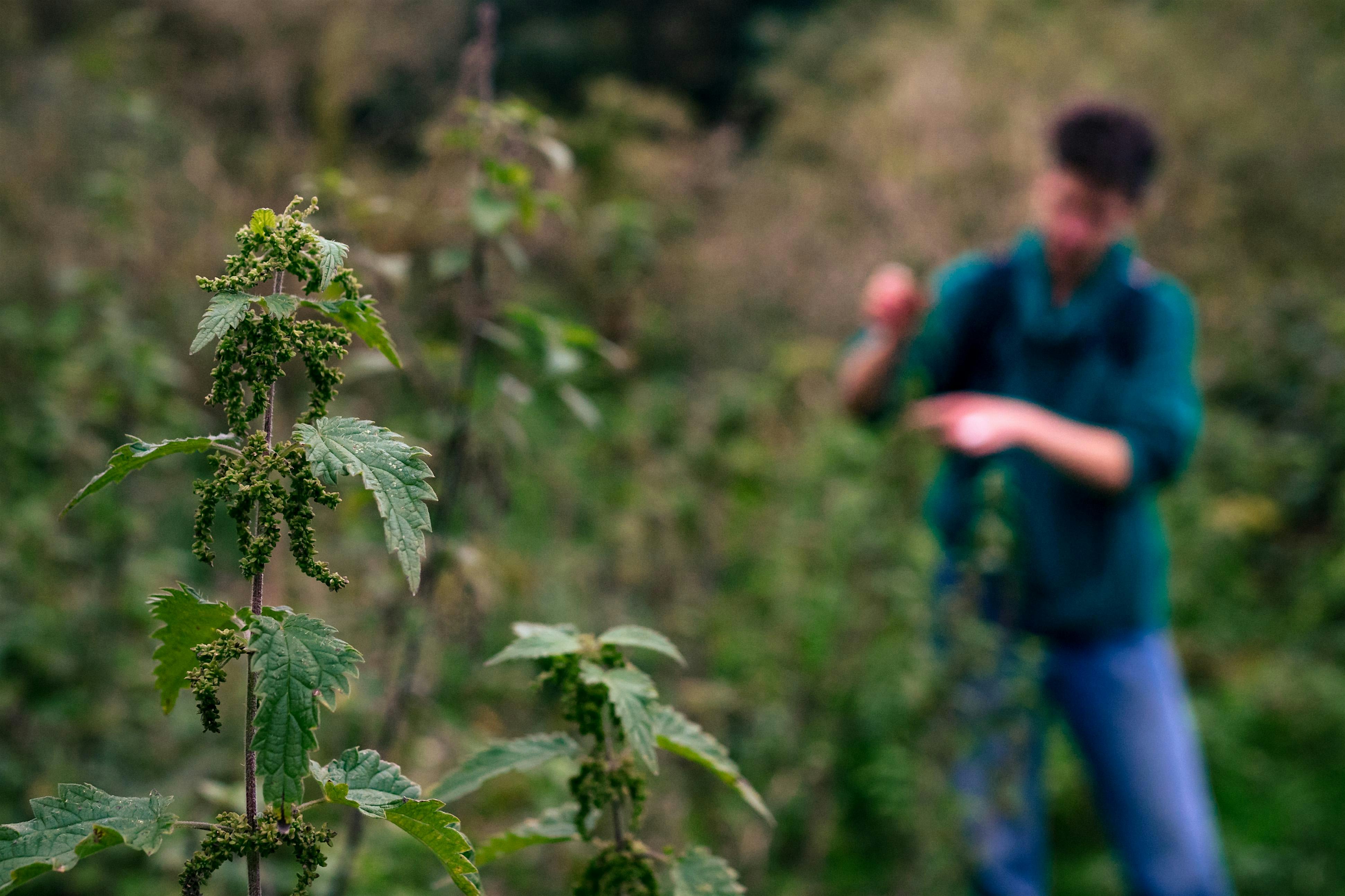 Atelier cuisine sauvage : les arbres et l'automne / Workshop ‘Koken met ingrediënten uit de natuur’: bomen en de herfst