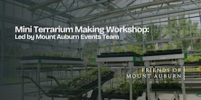 Build Your Own Mini Terrarium Workshop