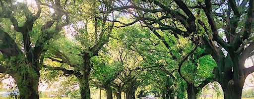 The Gulf South Heritage Seed Conference