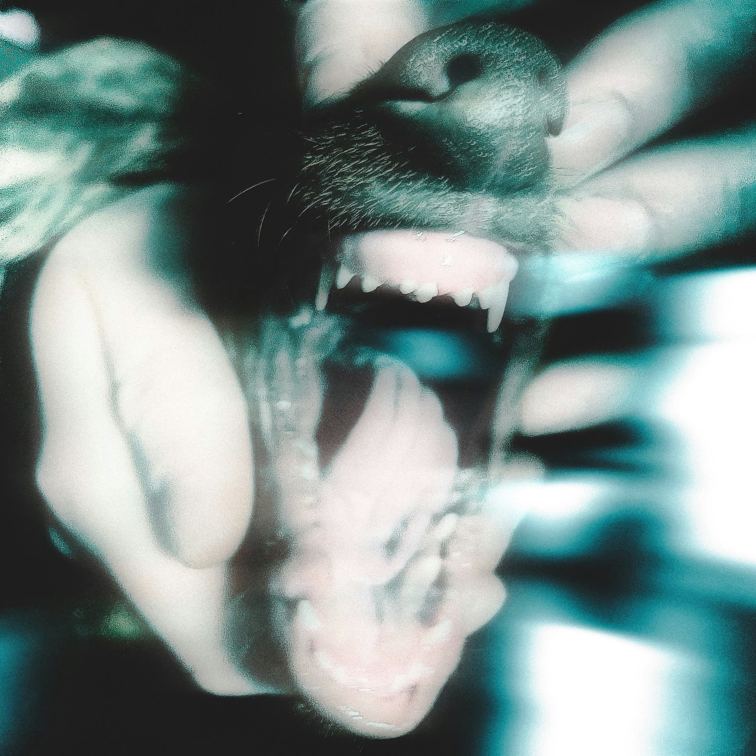 Puppy Teeth debut EP release show 
