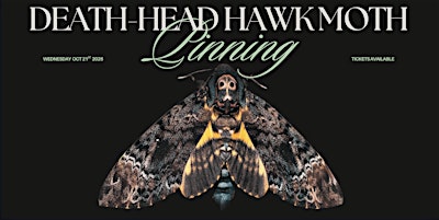 Death's-Head HawkMoth Pinning Workshop