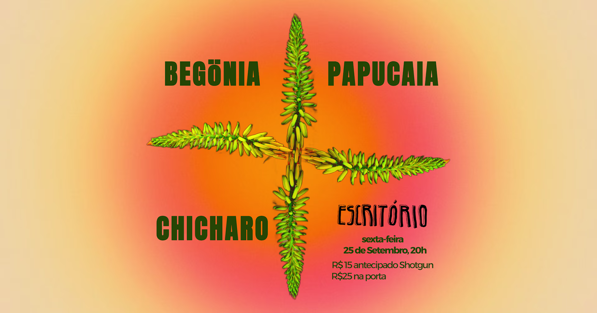 Begönia • Papucaia • Chicharo No Escritório