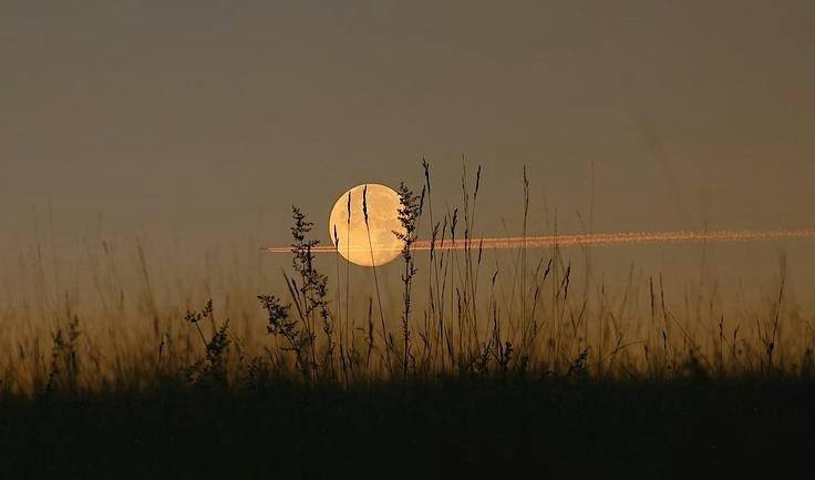 Lunar Soundscape: A Multi-Instrument Sound Bath